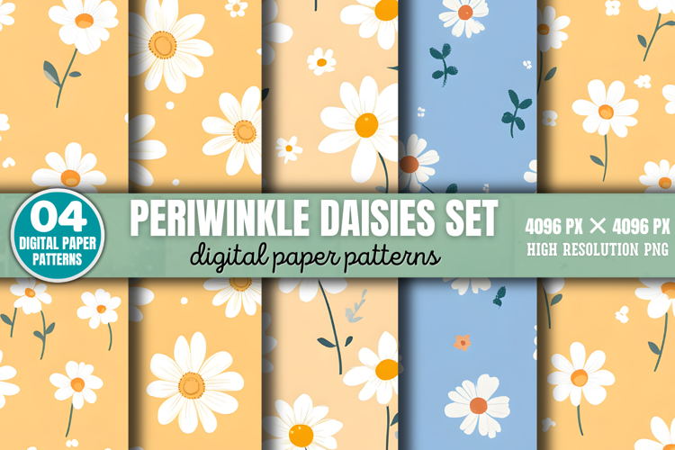 Daisies Png Image 24