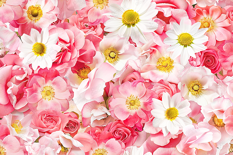 Floral Background Image 2