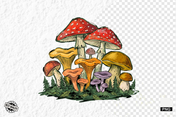 Summer Clipart Image 6