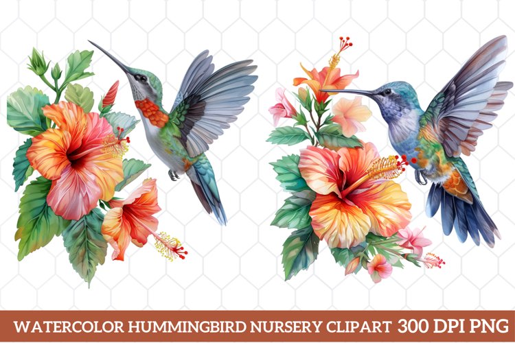 Hummingbird Clipart Image 19