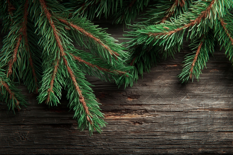 Christmas Background Png Image 11