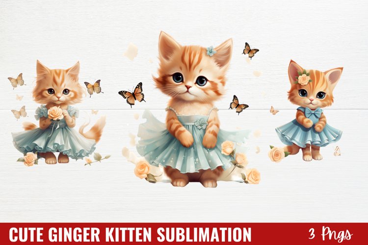 Kitten Png Image 13
