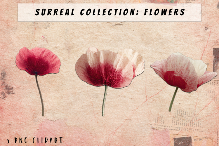 Blumen Png