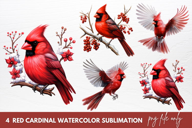 Cardinal Clipart Image 6