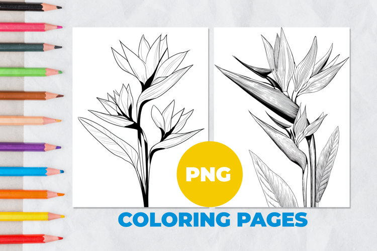 Tropical flower Coloring Pages | Coloring book