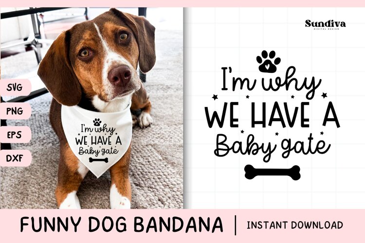 Funny Dog Bandana Quotes SVG | I'm Why We Have a Baby Gate