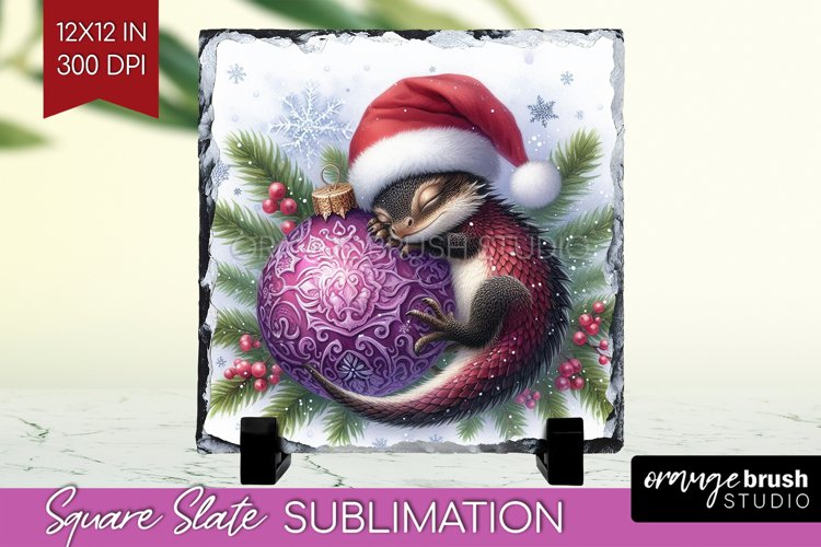 Baby Sublimation Designs Image 6