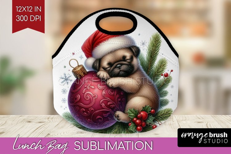 Christmas Animals Lunch Bag - Cute Christmas Lunch Bug PNG example image 1