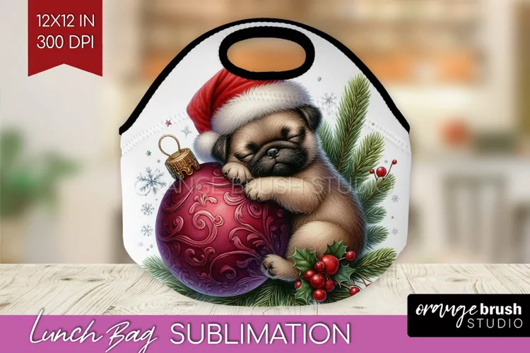 Christmas Animals Lunch Bag - Cute Christmas Lunch Bug PNG