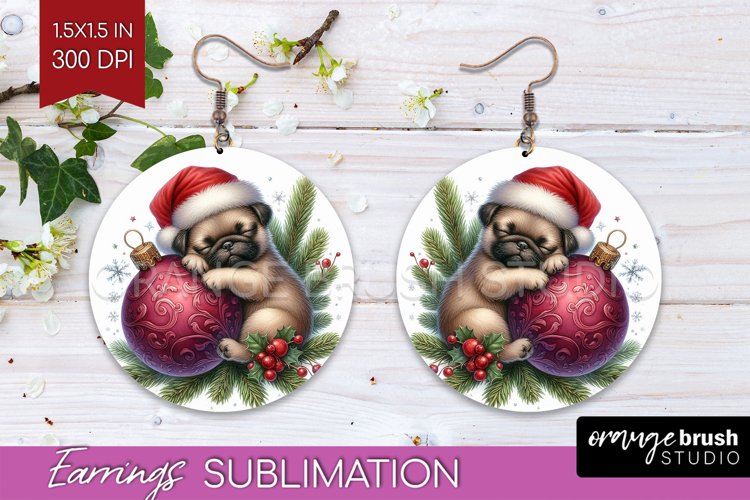 Earrings Png Image 14