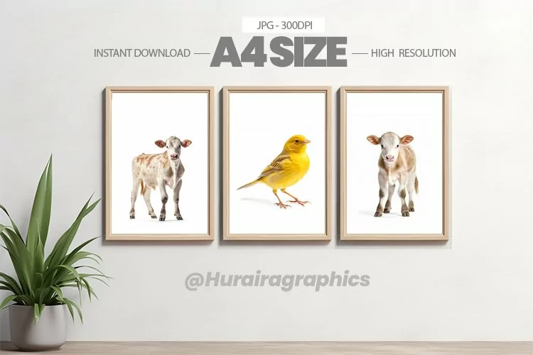 Animal Wall Art - 03 Variations