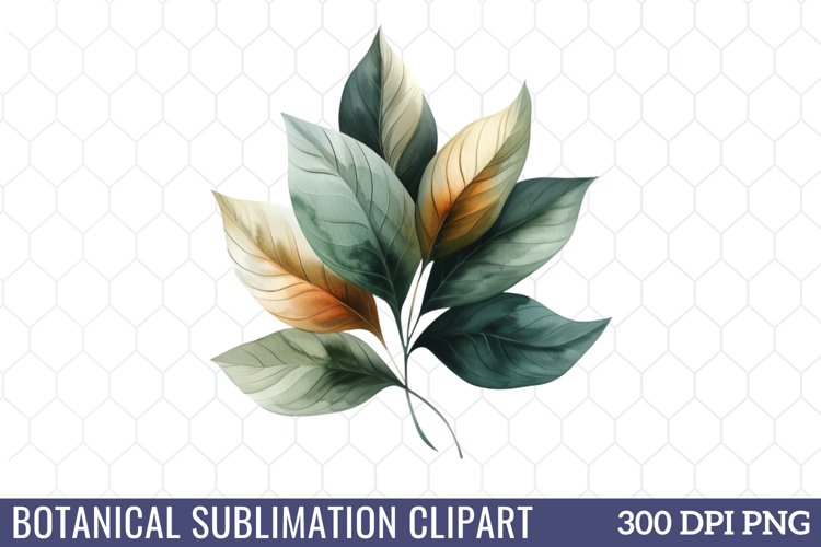 Flower Clipart Image 11