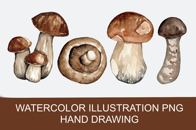 Watercolor autumn mushrooms PNG clipart, hand-drawn