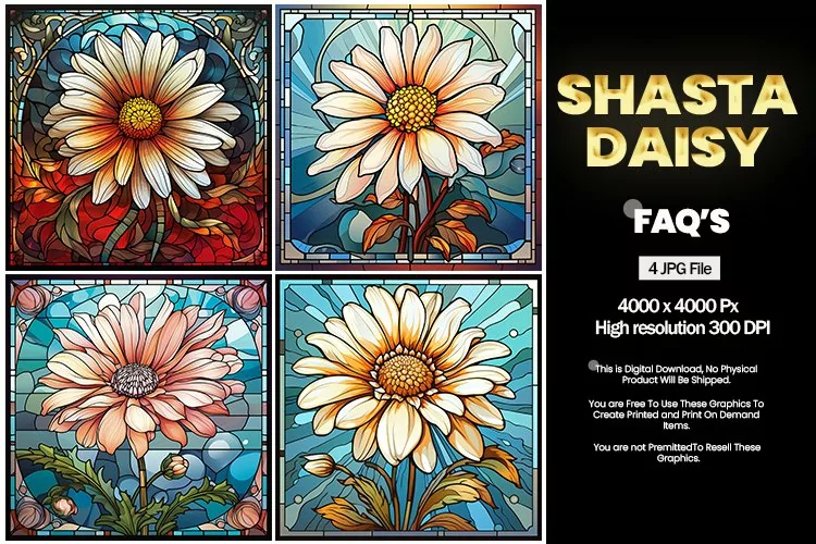Stained Glass Shasta Daisy Square Coaster - 04 Variations