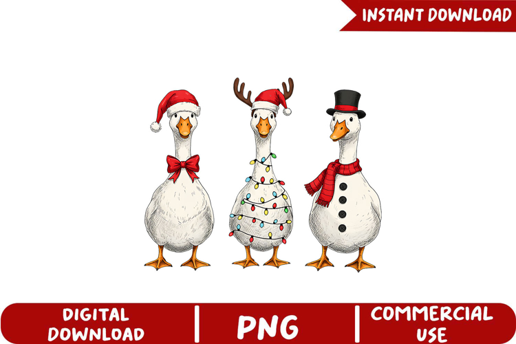 Christmas Goose Sublimation, Christmas Png