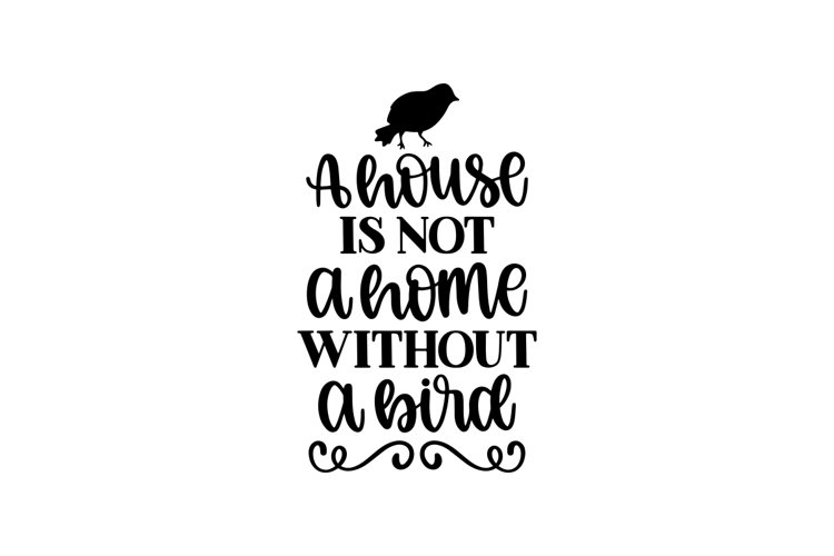 Bird Vector Image 15