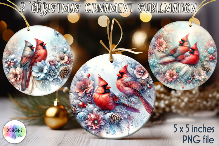 Christmas Ornaments Sublimation, Winter Bird Christmas PNG