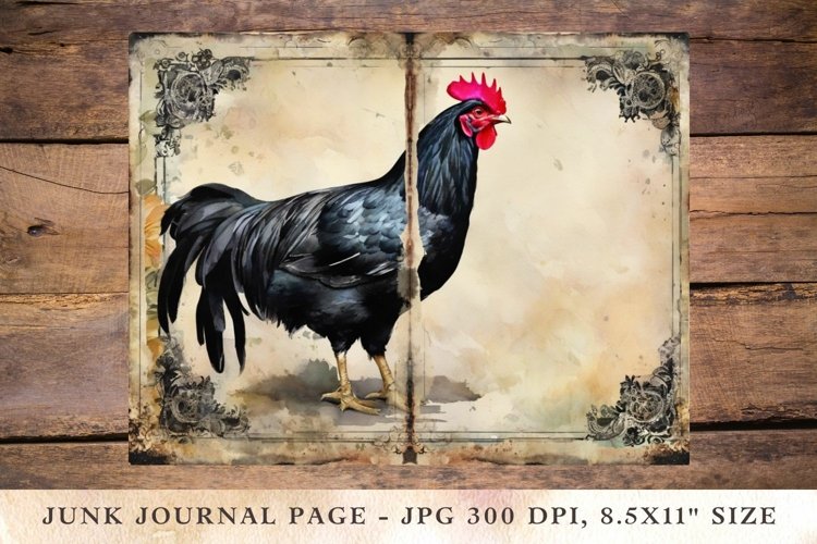 Chicken Clipart Image 9