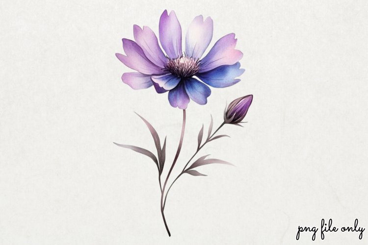 Dragonfly Png Image 18