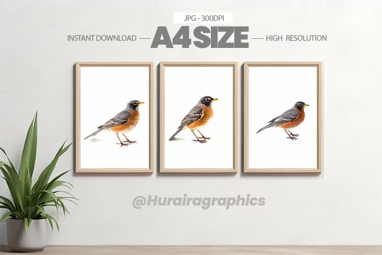 Bird Wall Art - 03 Variations