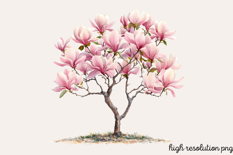 Baum Png Image 10