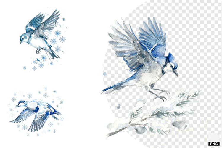 Winter Birds Garden Clipart