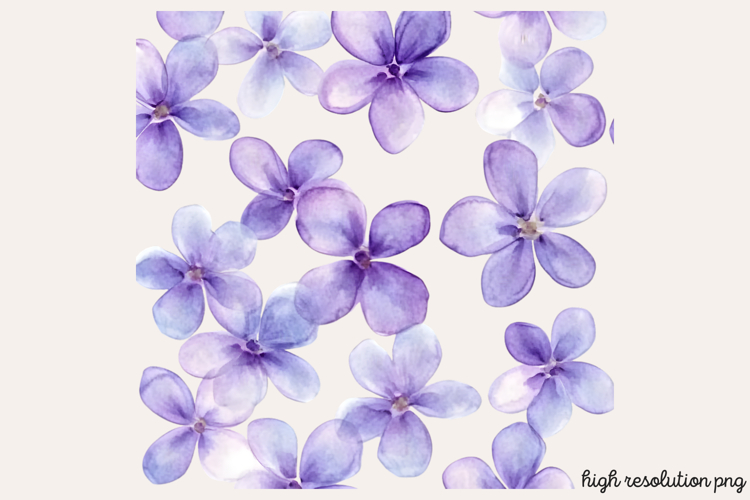 Lilac Illustration Image 9