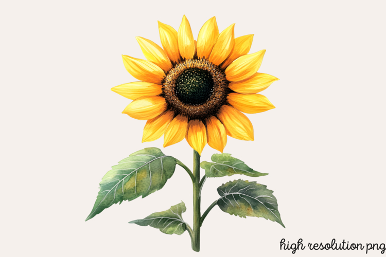 Boho SVG Image 23