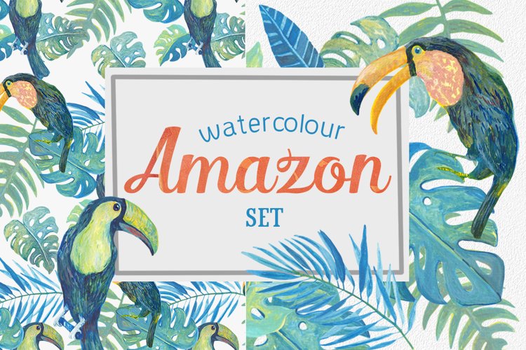 Amazon Clipart Image 6