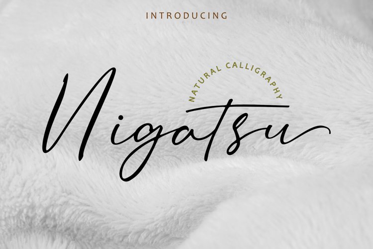 Nigatsu example image 1