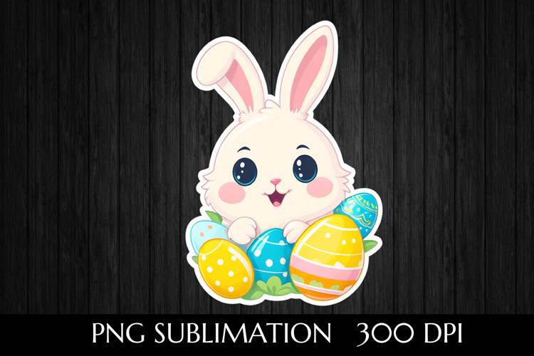 Rabbit Illustration Image 21