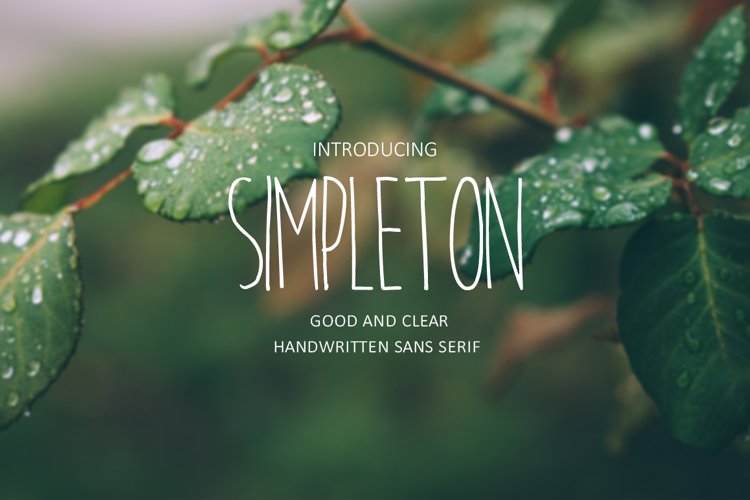 SIMPLETON example image 1