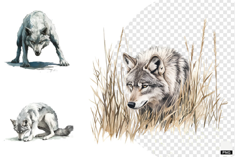 Winter Gray Wolves Clipart example image 1