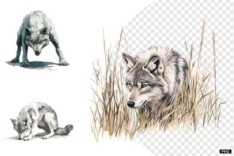 Winter Gray Wolves Clipart