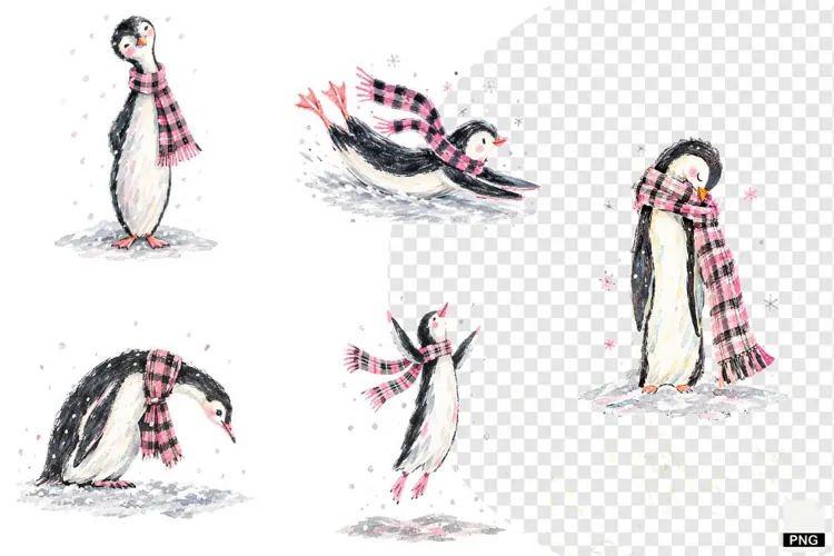 Winter Penguin PNG