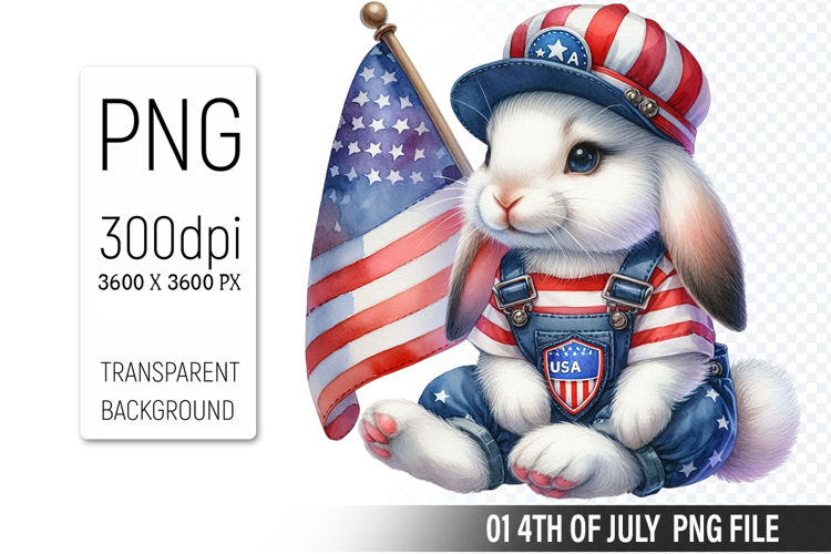 American Flag Png Image 16
