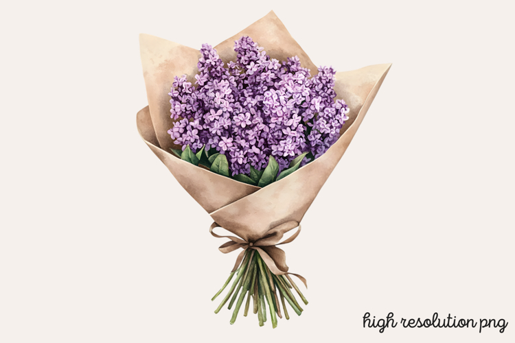 Lilac Illustration Image 8