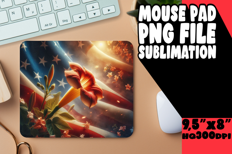 Usa Flag Png Image 19