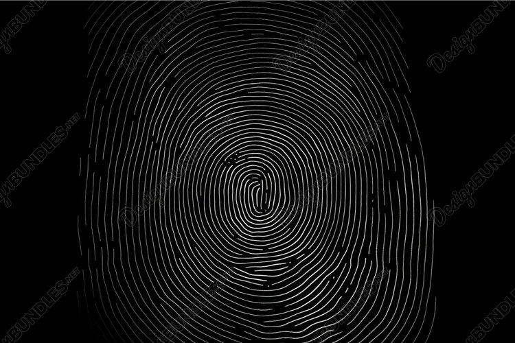 Abstract black and white concentric circles example image 1