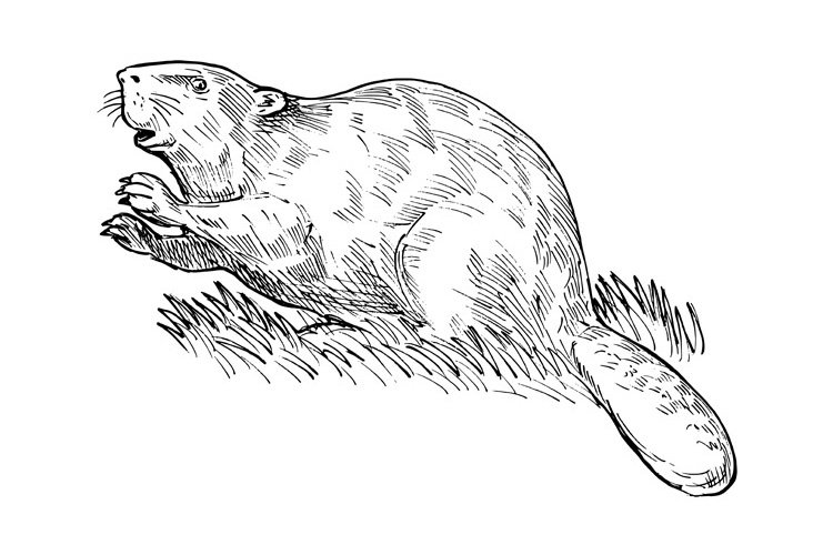 European Clipart Image 18