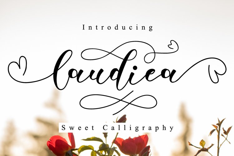 Laudiea Script example image 1