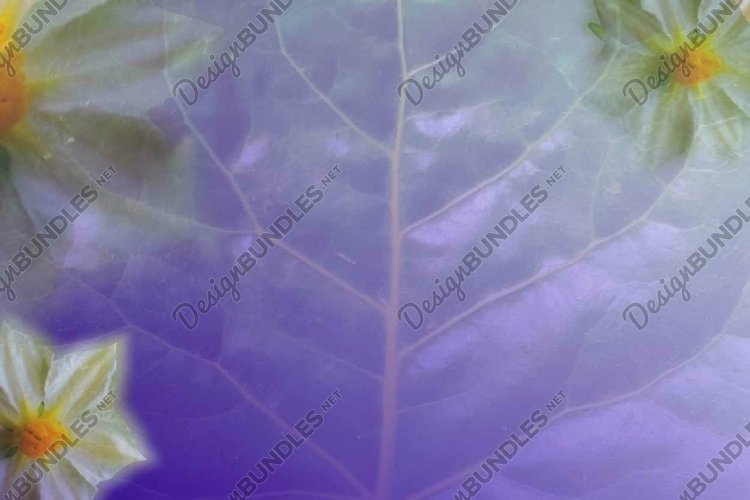 Wedding Vector Image 17