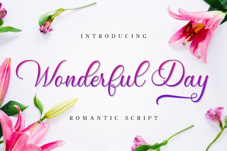 Wonderful Day example image 1