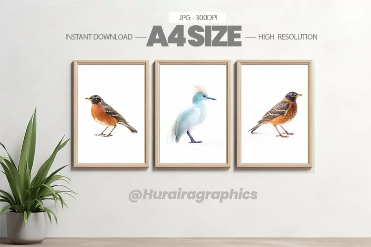 Bird Wall Art - 03 Variations