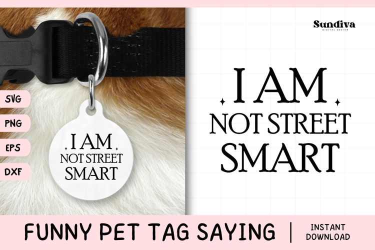 Funny Pet Tag Saying SVG | I Am Not Street Smart