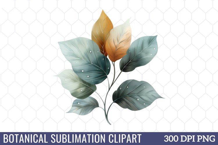 Flower Clipart Image 11