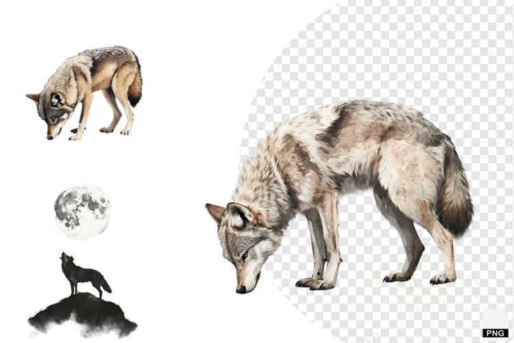 Winter Gray Wolves Clipart