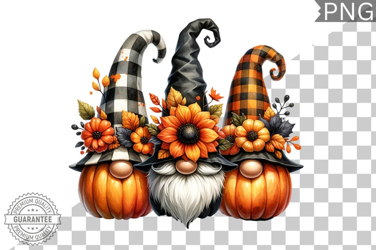 Gnome Clipart Image 17