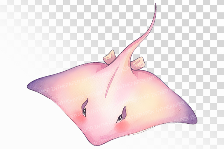 Cute Stingray Marine Animal Ocean Fish PNG Summer Aquatic
