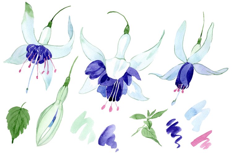 Fuchsia Watercolor png example image 1